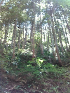 c0359615_22204083.jpg