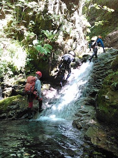 c0359615_22204832.jpg