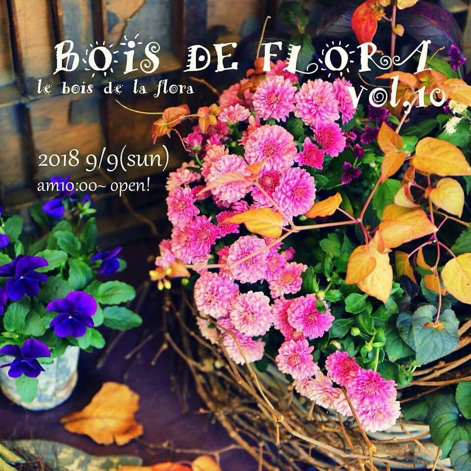 『BOIS DE FLORA  10  』参加させて頂きます✨&#128524;✨_d0147915_00221778.jpg