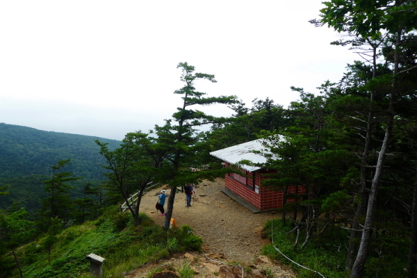 ＊＊＊＊＊ 花の百名山　アポイ岳 (810.2M)   幌満お花畑 編 ＊＊＊＊＊_d0170615_10371179.jpg