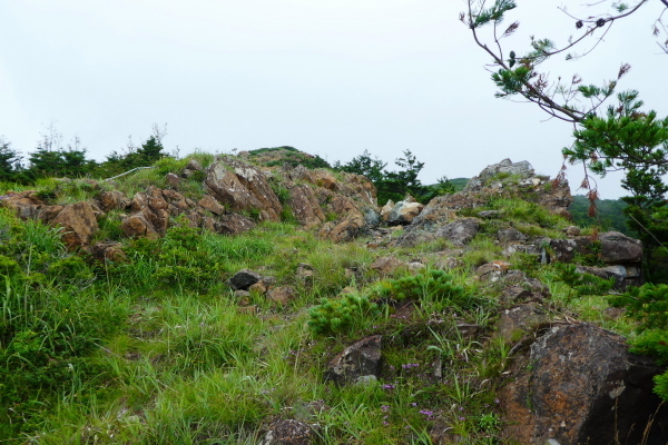 ＊＊＊＊＊ 花の百名山　アポイ岳 (810.2M)   幌満お花畑 編 ＊＊＊＊＊_d0170615_10372859.jpg