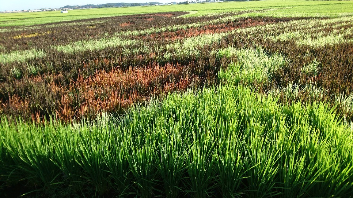 f0182618_23292981.jpg