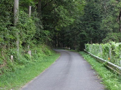 d0172422_15352527.jpg