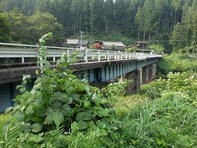 d0172422_15420712.jpg