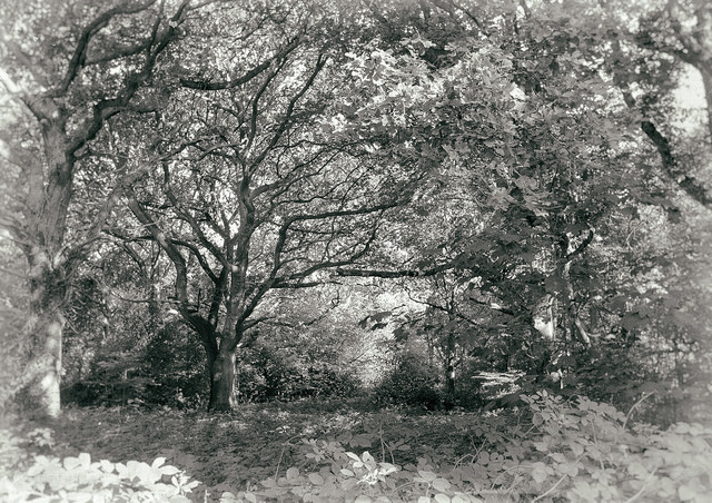 f0045624_20003759.jpg