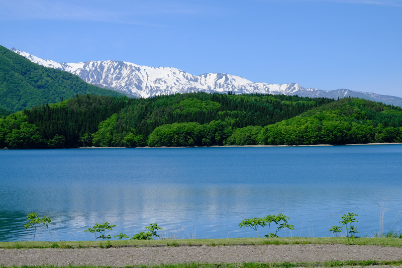 2018 (26) 長野県安曇野市・大町市・ 白馬村　春のくるま旅_a0216227_16355134.jpg