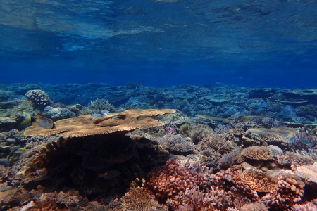 b0100730_20215516.jpg