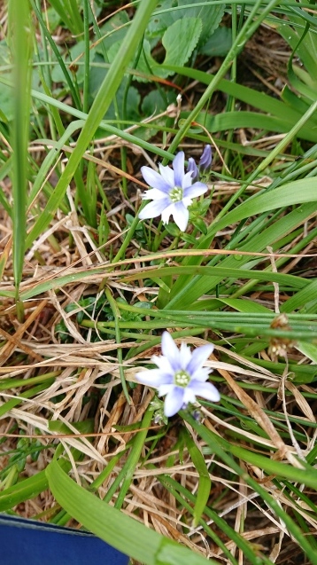 f0118332_06490351.jpg