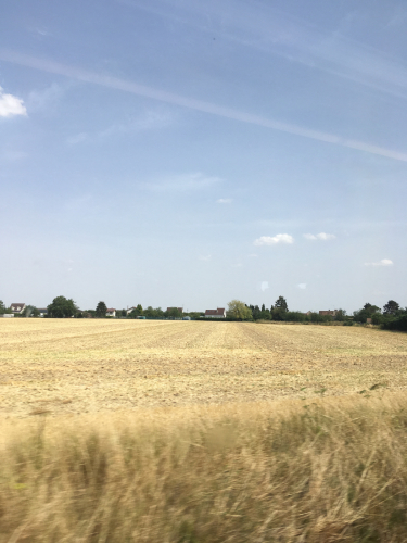 f0327534_15563602.jpg