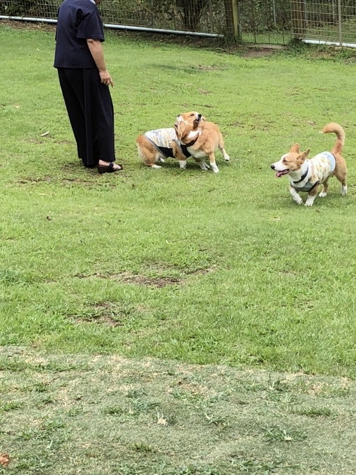 b0369239_13182904.jpeg