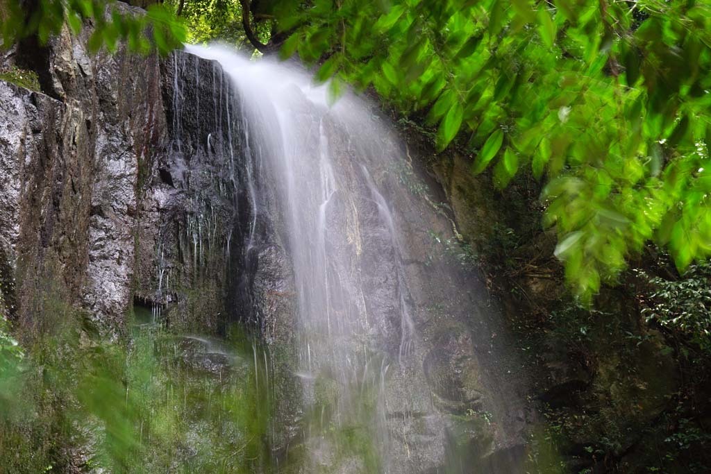 d0250840_00032060.jpg