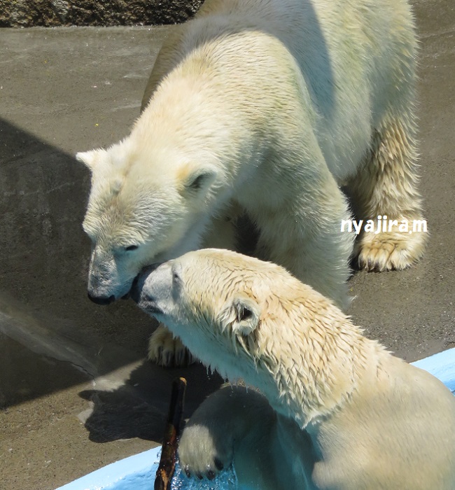 f0002743_13394797.jpg