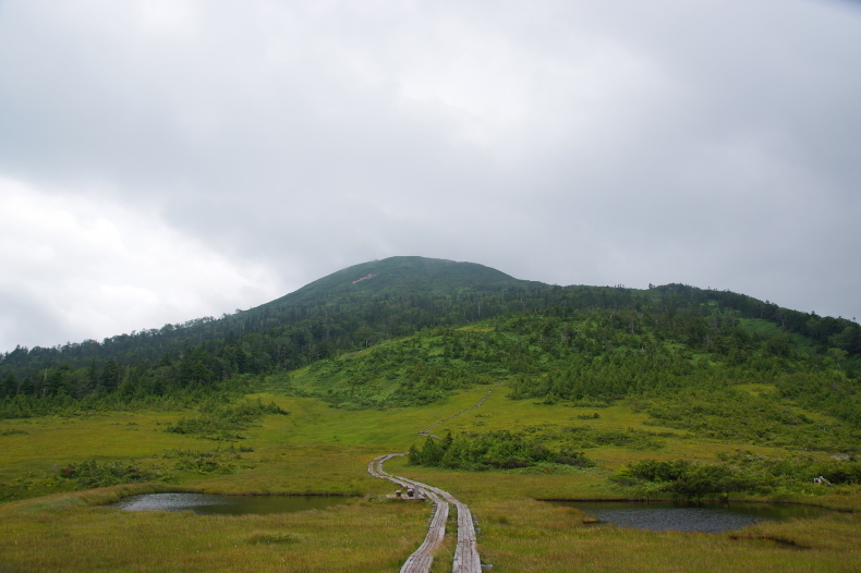 f0207943_10514594.jpg