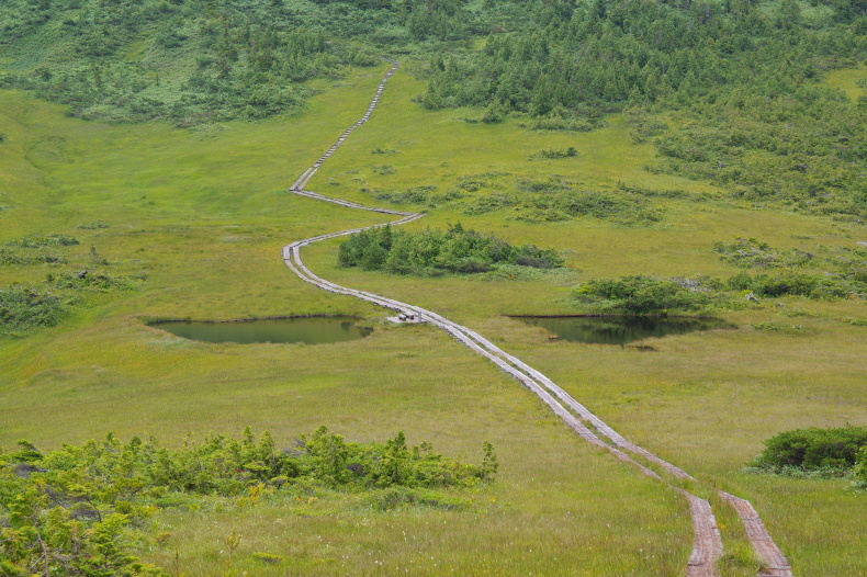 f0207943_10584652.jpg