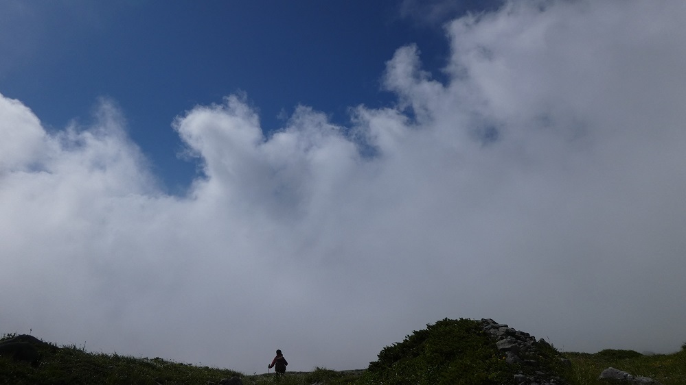 d0288144_14173561.jpg