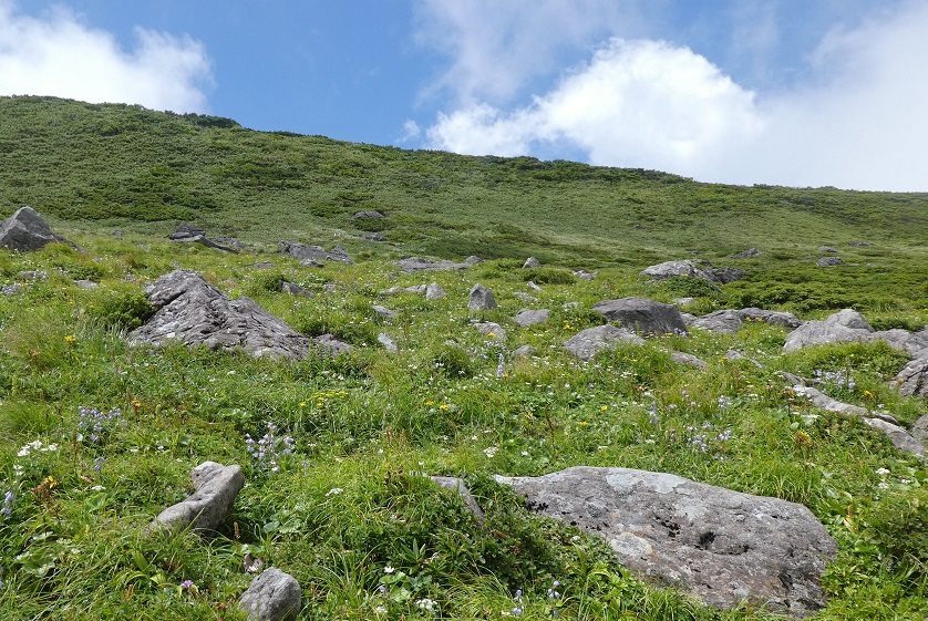 d0288144_14221689.jpg