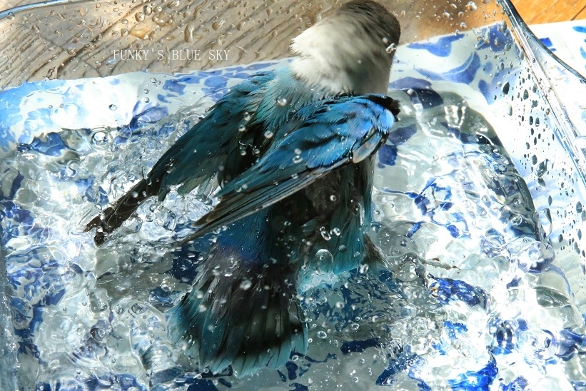 c0145250_11063823.jpg
