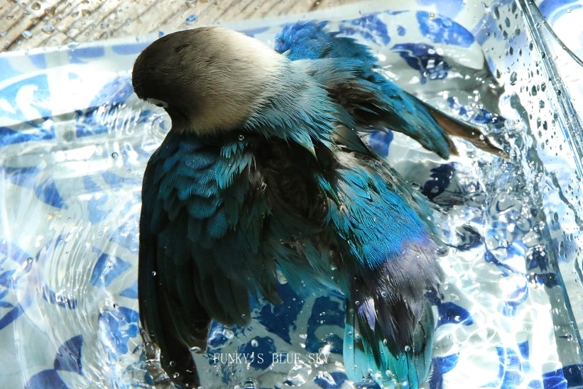 c0145250_11064188.jpg