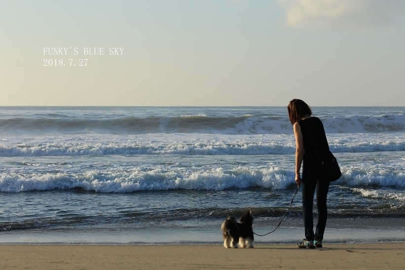 夏海２０１８・Ⅶ　（波打ち際で♪） - FUNKY'S BLUE SKY