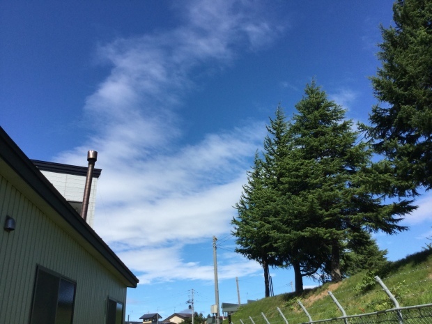 d0165550_16194445.jpeg