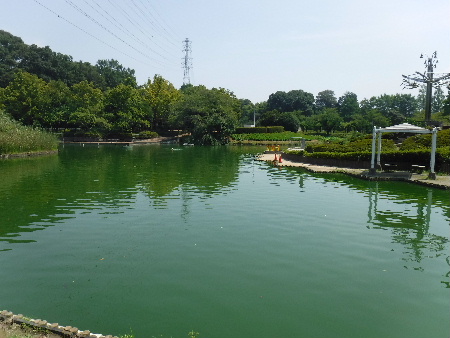 e0172950_17205633.jpg