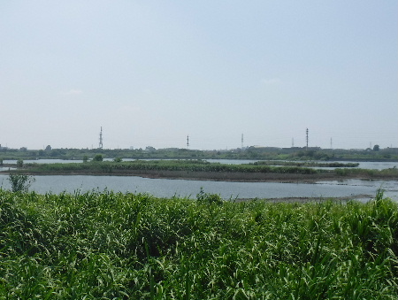 e0172950_17224056.jpg