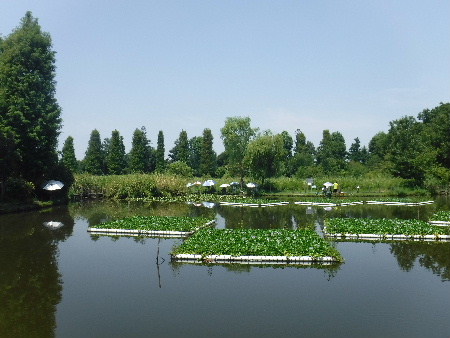 e0172950_1723727.jpg