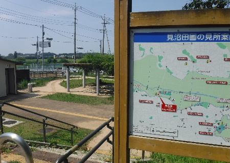 e0172950_1725620.jpg