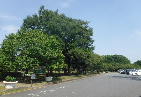 e0172950_17265787.jpg