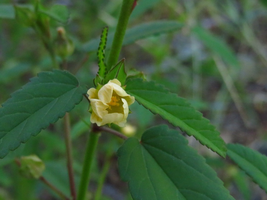 a0018655_12540120.jpg