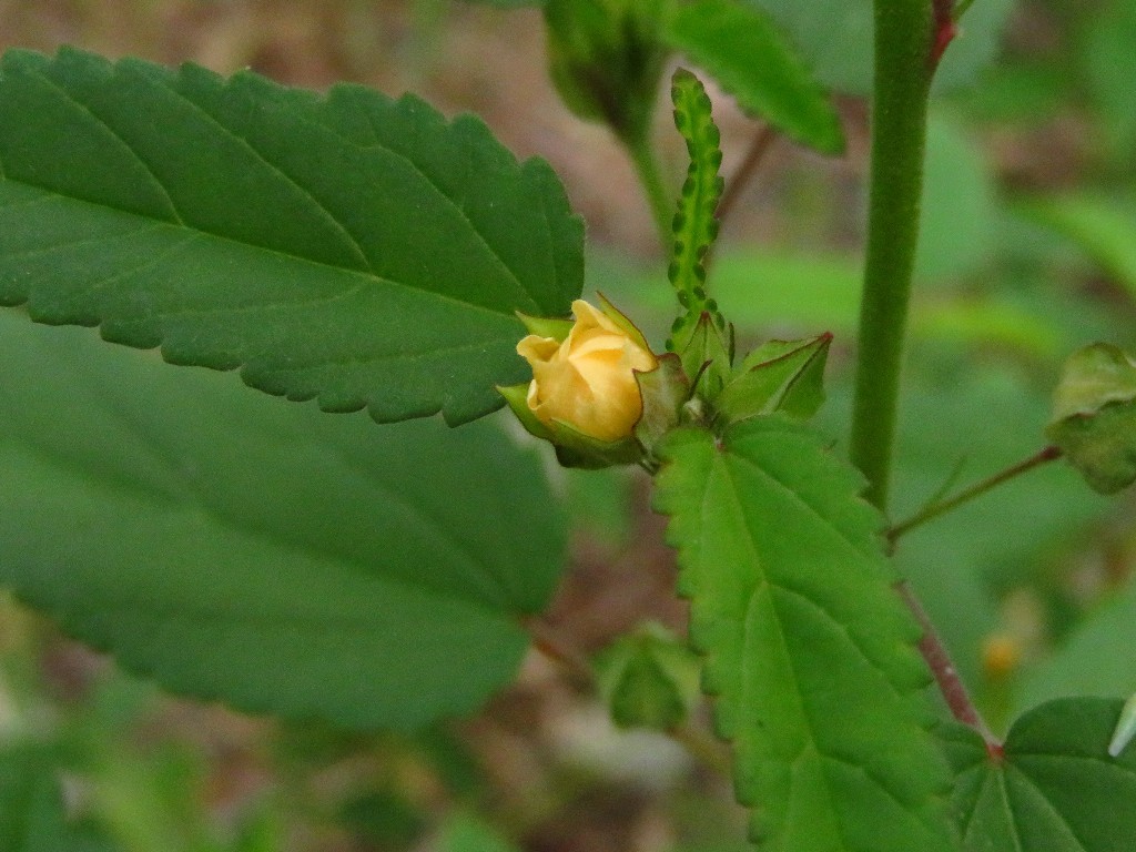 a0018655_12540182.jpg