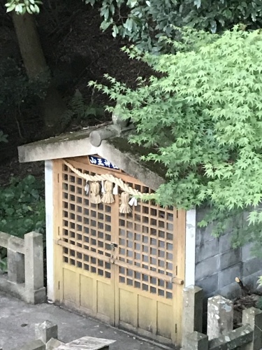 d0237757_23101249.jpeg