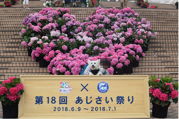 b0242873_18511404.png