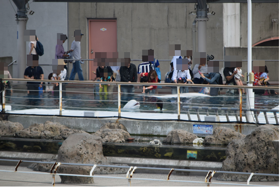b0242873_19032127.png