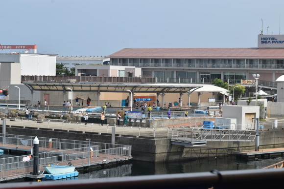 b0242873_19042887.jpg