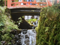 f0222378_934271.jpg