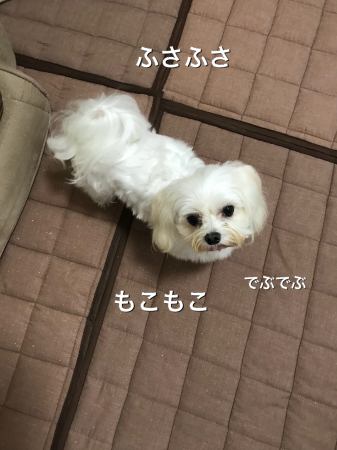b0193480_13123294.jpeg