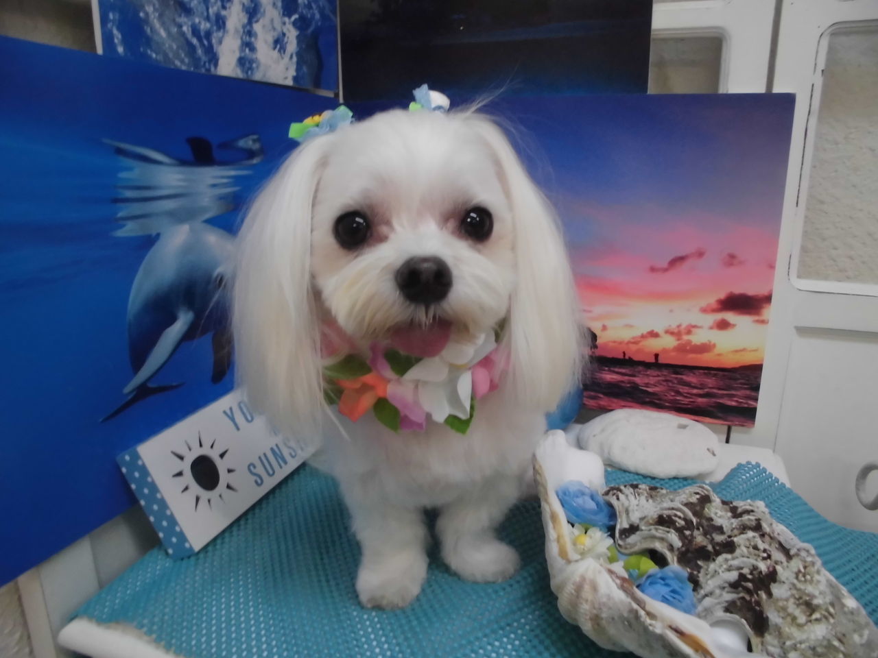 b0193480_13133384.jpeg