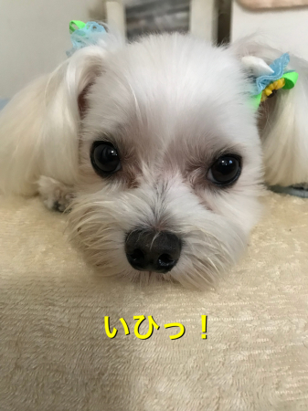 b0193480_13142897.jpeg