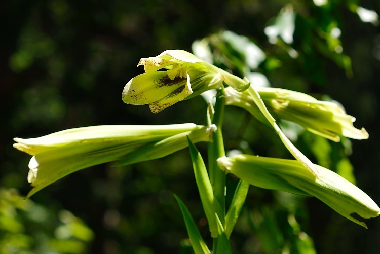 d0341880_07304953.jpg