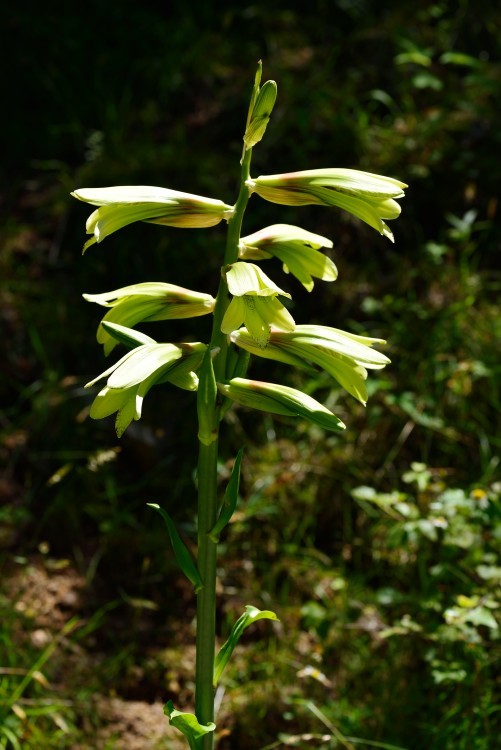 d0341880_07305610.jpg