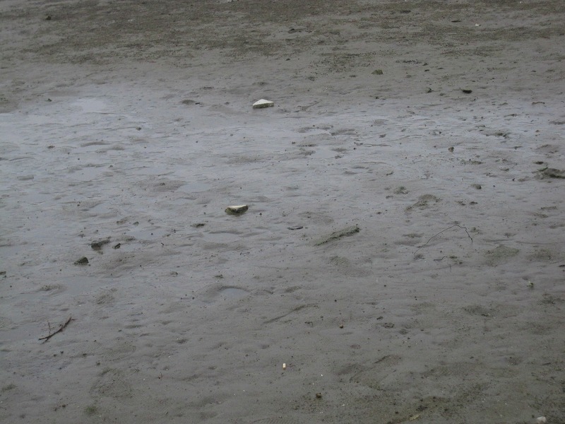 e0374581_07164167.jpg