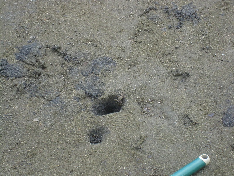 e0374581_07171993.jpg