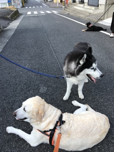 f0315081_21584676.jpeg