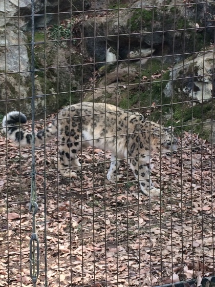 b0340883_17073094.jpeg