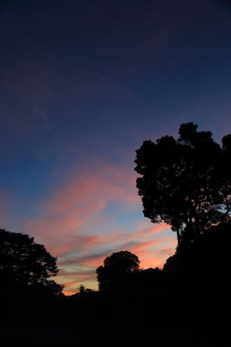 c0358784_22201238.jpg