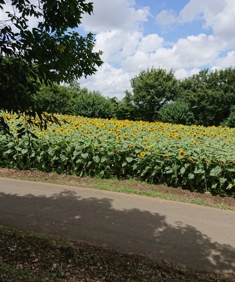 f0280186_16390900.jpg