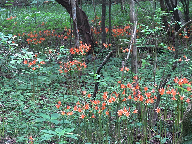 f0357487_2259030.jpg