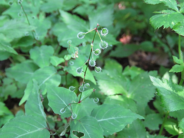 f0357487_2311397.jpg