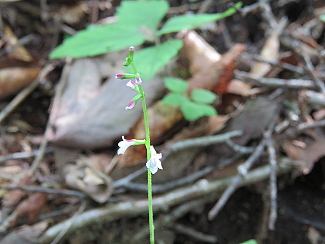 f0357487_23144335.jpg